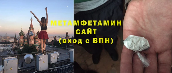 прущие грибы Семилуки