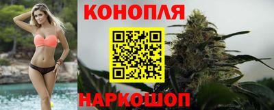 мдпв Донской